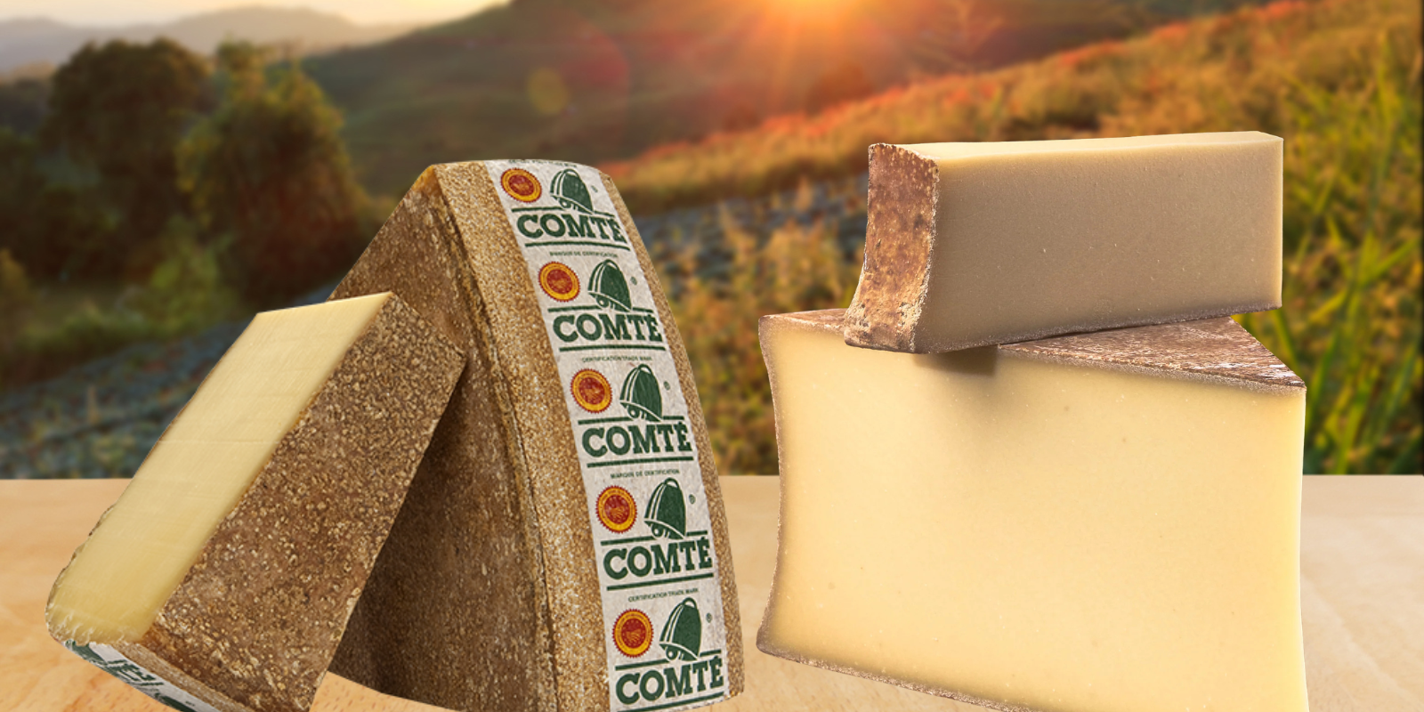 Untitled design (24)